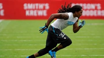 Sep 7, 2014; Tampa, FL, USA; Carolina Panthers strong safety Tre Boston (33) warms up before facing the Tampa Bay Buccaneers at Raymond James Stadium. Mandatory Credit: David Manning-USA TODAY Sports