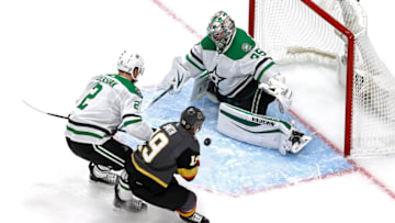 Anton Khudobin #35 of the Dallas Stars (Photo by Bruce Bennett/Getty Images)