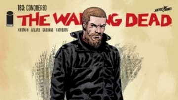 The Walking Dead 163 variant cover - Image Comics and Skybound