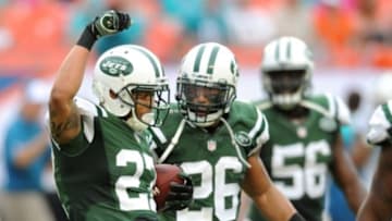 Dec 29, 2013; Miami Gardens, FL, USA; New York Jets cornerback Dee Milliner (left) celebrates his interception catch with teammate New York Jets strong safety Dawan Landry (right) during the second half against the Miami Dolphins at Sun Life Stadium. Mandatory Credit: Steve Mitchell-USA TODAY Sports