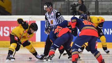 VIENNA, AUSTRIA - SEPTEMBER 1: Riley Holzapfel of Vienna and Michael Haga of Stockholm face off during the Champions Hockey League match between Vienna Capitals and Djurgarden Stockholm at Erste Bank Arena on September 1, 2019 in Vienna, Austria. (Photo by Andrea Kareth/SEPA.Media /Getty Images)