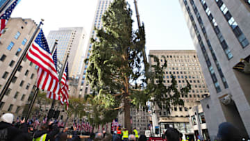 NEW YORK, NEW YORK - NOVEMBER 14: The Rockefeller Center Christmas Tree arrives at Rockefeller Plaza and is craned into place on November 14, 2020 in New York City. (Photo by Cindy Ord/Getty Images)