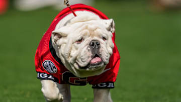 Nov 6, 2021; Athens, Georgia, USA; Georgia Bulldogs mascot UGA on the field during the game against the Missouri Tigers during the second half at Sanford Stadium. Mandatory Credit: Dale Zanine-USA TODAY Sports