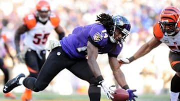 Nov 10, 2013; Baltimore, MD, USA; Baltimore Ravens wide receiver Marlon Brown (14) reaches for a pass during the game against the Cincinnati Bengals at M