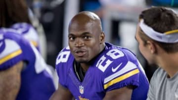 Aug 8, 2014; Minneapolis, MN, USA; Minnesota Vikings running back Adrian Peterson (28) talks along the sidelines during the game with the Oakland Raiders at TCF Bank Stadium. Vikings win 10-6. Mandatory Credit: Bruce Kluckhohn-USA TODAY Sports