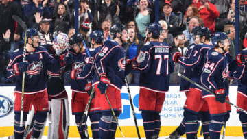 COLUMBUS, OH - NOVEMBER 28: The Columbus Blue Jackets celebrate a 3-2 shootout victory over the Carolina Hurricanes on November 28, 2017 at Nationwide Arena in Columbus, Ohio. (Photo by Jamie Sabau/NHLI via Getty Images)