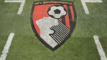 BOURNEMOUTH, ENGLAND - JANUARY 21: General view inside the stadium prior to the Premier League match between AFC Bournemouth and Watford at Vitality Stadium on January 21, 2017 in Bournemouth, England. (Photo by Richard Heathcote/Getty Images)