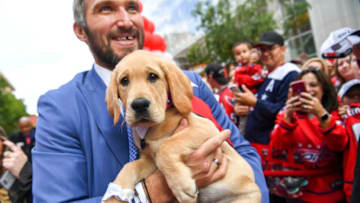 Captain, Washington Capitals (Photo by Jonathan Newton / The Washington Post via Getty Images)