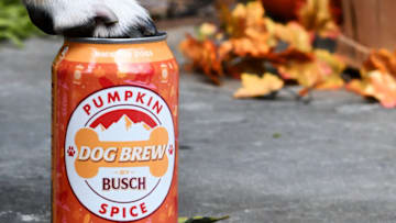 Busch Pumpkin Spice Dog Brew is now available, photo provided by Busch
