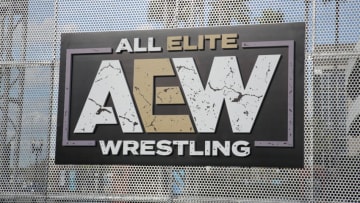photo courtesy All Elite Wrestling