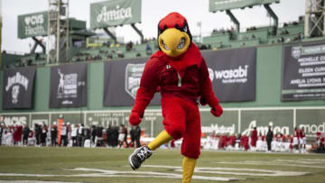 Louie the Louisville Cardinals mascot reacts (Photo by Maddie Malhotra/Boston Red Sox/Getty Images)
