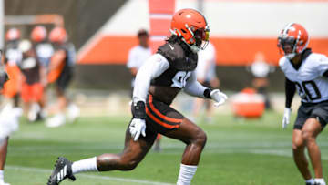 Browns (Photo by Nick Cammett/Getty Images)