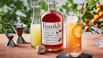 Strawberry Basil Lemonade Cocktail for Yappy Hour with Frankly Organic. Image courtesy of Frankly Organic Vodka