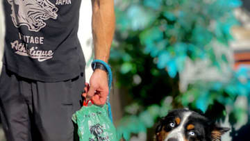 Poop 'N Tie Dog Poop Bags. Image courtesy of Max Leahy for PNT Pets.