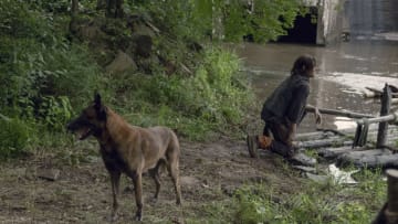 Norman Reedus as Daryl Dixon - The Walking Dead _ Season 9, Episode 7 - Photo Credit: Gene Page/AMC