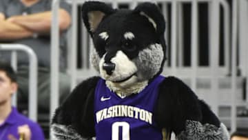 LAS VEGAS, NV - MARCH 08: Washington Huskies mascot Harry the Husky looks on during the team's first-round game of the Pac-12 Basketball Tournament against the USC Trojans at T-Mobile Arena on March 8, 2017 in Las Vegas, Nevada. USC won 78-73. (Photo by Ethan Miller/Getty Images)