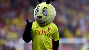WATFORD, ENGLAND - APRIL 21: Watford Mascot, Harry the Hornet poses prior to the Premier League match between Watford and Crystal Palace at Vicarage Road on April 21, 2018 in Watford, England. (Photo by Dan Istitene/Getty Images)