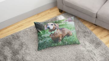 Valentine's Day gift Fur Furever Pals. Image courtesy 1800Flowers