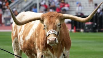 Texas football. Mandatory Credit: Kirby Lee-USA TODAY Sports