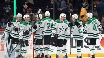 the Dallas Stars (Photo by Sean M. Haffey/Getty Images)
