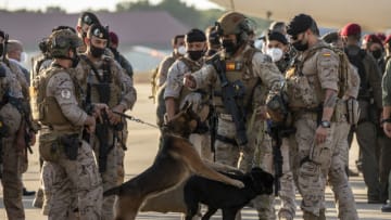 MADRID, SPAIN - AUGUST 27: Dogs of members of Spanish forces play as they disembark from a plane with evacuees from Afghanistan at Torrejon Military Air Base on August 27, 2021 in Madrid, Spain. The country concluded its operation to evacuate its citizens and Afghan nationals from Kabul, a day after an attack near the city's airport killed scores of people. (Photo by Pablo Blazquez Dominguez/Getty Images)