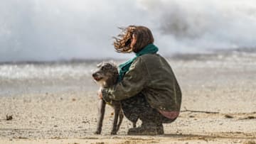 FALMOUTH, CORNWALL - FEBRUARY 18: A dog owner and her Bedlington Whippet, Merlyn, enjoy a walk by the sea at Gyllyngvase Beach on February 18, 2022 in Falmouth, Cornwall. The Met Office has issued two rare, red weather warnings for the South and South West of England today as Storm Eunice makes landfall. Much of the rest of the UK is under amber and yellow warnings with winds up to 100 mph, rain and snow expected. This is the worst storm to hit the UK for three decades (Photo by Hugh Hastings/Getty Images)