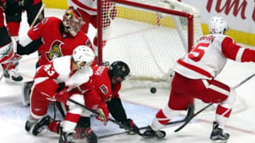 Nov 16, 2015; Ottawa, Ontario, CAN; Detroit Red Wings center Riley Sheahan (15) scores a goal against Ottawa Senators goalie Craig Anderson (41) and center Darren Helm (43) and defenseman Patrick Wiercioch (46) during the second period at Canadian Tire Centre. Mandatory Credit: Jean-Yves Ahern-USA TODAY Sports