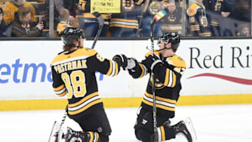 BOSTON, MA - JANUARY 17: David Pastrnak #88 and Torey Krug #47 of the Boston Bruins warm up before the game against the St. Louis Blues at the TD Garden on January 17, 2019 in Boston, Massachusetts. (Photo by Steve Babineau/NHLI via Getty Images)