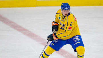 Linus Hogberg, Sweden (Photo by Dave Reginek/Getty Images)
