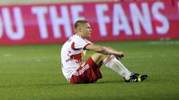 Nov 6, 2013; Harrison, NJ, USA; New York Red Bulls defender Markus Holgersson (5) looks on after losing to the Houston Dynamo in Leg 2 of the Eastern Conference Semi-Finals at Red Bull Arena. Houston Dynamo won the game 2-1 in overtime. Mandatory Credit: Joe Camporeale-USA TODAY Sports