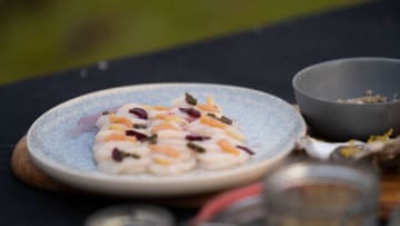 Bergen, Norway - Raw scallops served during the big cook in Bergen, Norway. (Credit: National Geographic/Justin Mandel)