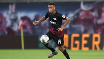 USMNT, Tyler Adams (Photo by Alexander Hassenstein/Getty Images)