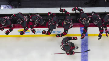 Oct 11, 2023; Raleigh, North Carolina, USA; Carolina Hurricanes defenseman Brady Skjei (76) celebrates his goal against the Ottawa Senators during the third period at PNC Arena. Mandatory Credit: James Guillory-USA TODAY Sports
