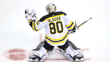 Boston Bruins, Dan Vladar #80 (Photo by Elsa/Getty Images)