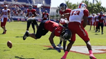 Robert Mayer-USA TODAY Sports