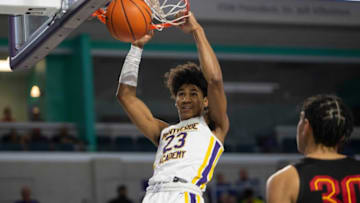 Dillon Mitchell, Texas Basketball