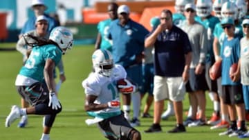 Jul 25, 2014; Davie, FL, USA; Miami Dolphins wide receiver Mike Wallace (11) slips away from free safety Louis Delmas (25) during practice drills at Miami Dolphins Training Facility. Mandatory Credit: Steve Mitchell-USA TODAY Sports