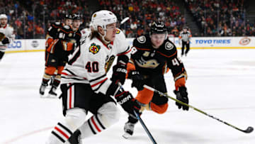 ANAHEIM, CA - FEBRUARY 27: Chicago Blackhawks rightwing John Hayden (40) skates away from Anaheim Ducks leftwing Max Jones (49) in the second period of a game played on February 27, 2019 at the Honda Center in Anaheim, CA. (Photo by John Cordes/Icon Sportswire via Getty Images)