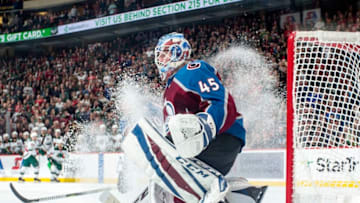ST. PAUL, MN - NOVEMBER 24: Jonathan Bernier