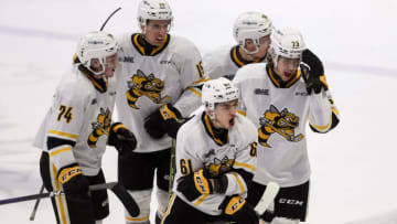 WINDSOR, ONTARIO - MARCH 04: Defenceman Christian Kyrou #61 of the Sarnia Sting celebrates his game winning goal against the Windsor Spitfires at WFCU Centre on March 04, 2023 in Windsor, Ontario. (Photo by Dennis Pajot/Getty Images)