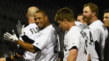 May 28, 2014; Chicago, IL, USA; Chicago White Sox right fielder Moises Sierra (25) reacts after hitting the game winning RBI single against the Cleveland Indians during the ninth inning at U.S Cellular Field. Chicago White Sox defeat the Cleveland Indians 3-2. Mandatory Credit: Mike DiNovo-USA TODAY Sports