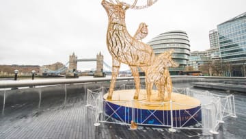 Santa's reindeer (Photo by Joseph Okpako/Getty Images)