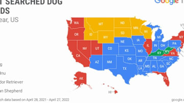 Google Trends Shares Top Dog Breeds in Each State, Pet Data. Image courtesy of Google Trends
