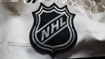 WASHINGTON, DC - DECEMBER 15: A detailed view of the NHL logo on the net before the game between the Washington Capitals and the Dallas Stars at Capital One Arena on December 15, 2022 in Washington, DC. (Photo by Scott Taetsch/Getty Images)
