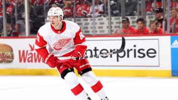 Detroit Red Wings, Dominik Kubalik #81. (Photo by Jared Silber/Getty Images)