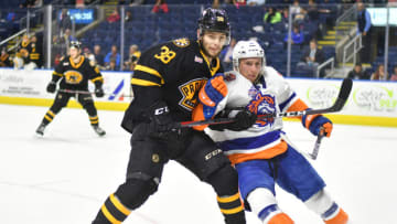 BRIDGEPORT, CT - OCTOBER 19: Tanner Fritz #11 of the Bridgeport Sound Tigers and Jakub Zboril #38 of the Providence Bruins battle for a puck during a game at Webster Bank Arena on October 19, 2018 in Bridgeport, Connecticut. (Photo by Gregory Vasil/Getty Images)