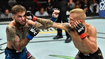 LOS ANGELES, CA - AUGUST 04: (R-L) TJ Dillashaw punches Cody Garbrandt in their UFC bantamweight championship fight during the UFC 227 event inside Staples Center on August 4, 2018 in Los Angeles, California. (Photo by Jeff Bottari/Zuffa LLC/Zuffa LLC via Getty Images)