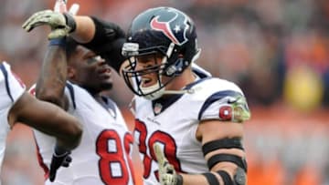 Nov 16, 2014; Cleveland, OH, USA; Houston Texans defensive end J.J. Watt (99) celebrates after catching a touchdown pass during the first quarter against the Cleveland Browns at FirstEnergy Stadium. Mandatory Credit: Ken Blaze-USA TODAY Sports