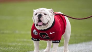 Jan 2, 2016; Jacksonville, FL, USA; Georgia Bulldogs mascot Uga stands on the field in the second quarter during a game against the Penn State Nittany Lions at EverBank Field. Mandatory Credit: Logan Bowles-USA TODAY Sports