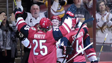 Nov 1, 2016; Glendale, AZ, USA; Arizona Coyotes left wing Lawson Crouse (67) celebrates with center Ryan White (25) and defenseman Kevin Connauton (44) after scoring a goal in the second period against San Jose Sharks at Gila River Arena. Mandatory Credit: Matt Kartozian-USA TODAY Sports
